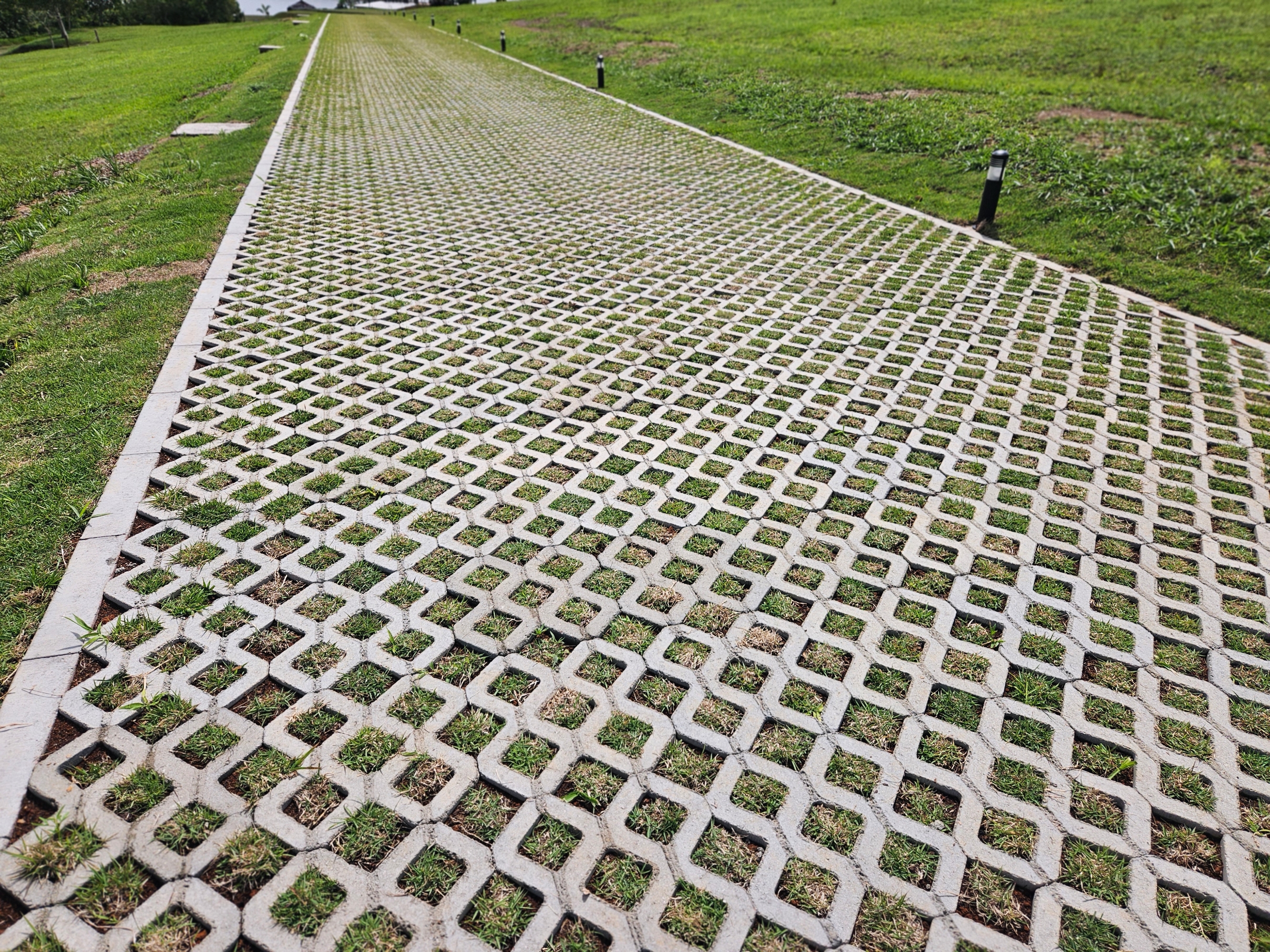 Piso grama (concregrama)
